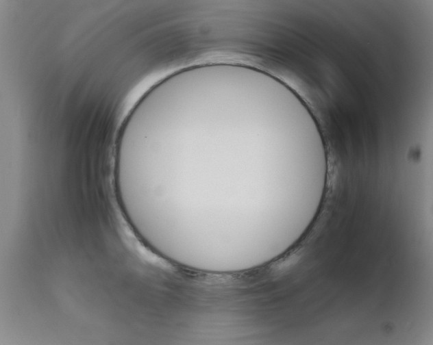 X0000111011094200906191202