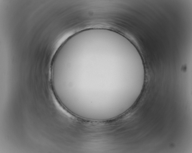 X0000111011095200906191202