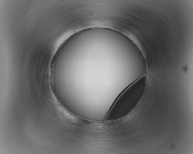 X0000111011096200906191202