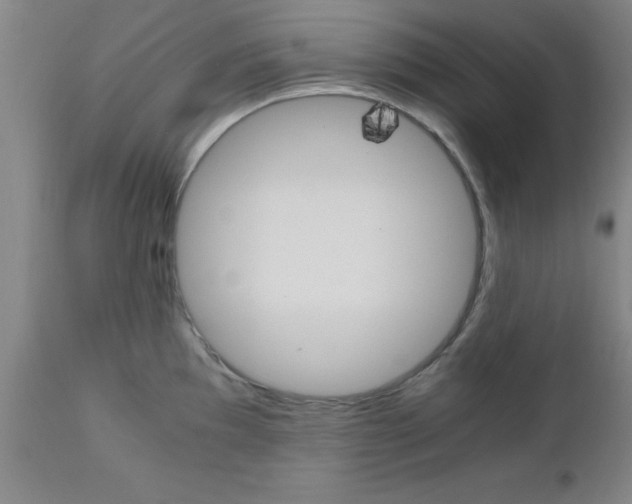 X0000111011097200906191202