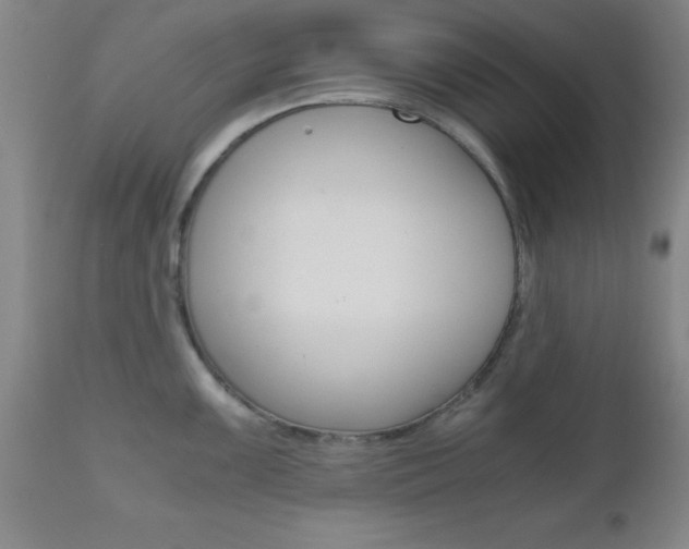 X0000111011099200906191202