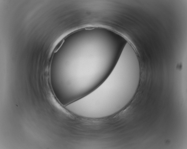 X0000111011100200906191202