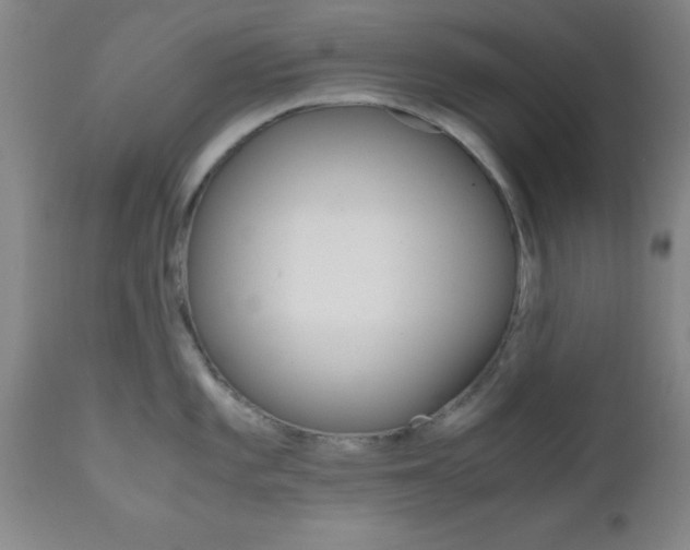 X0000111011101200906191202