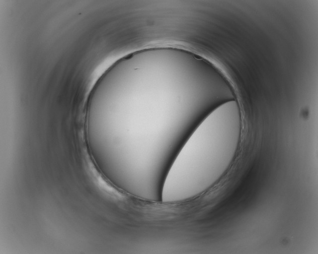 X0000111011102200906191202