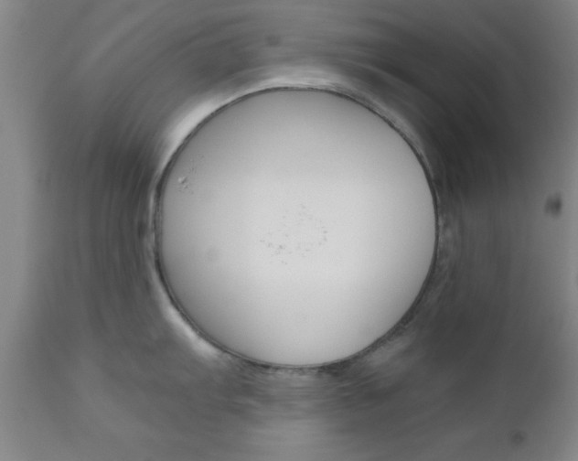 X0000111011103200906191202