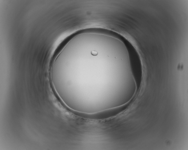 X0000111011104200906191202