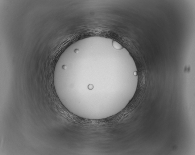 X0000111011105200906191201