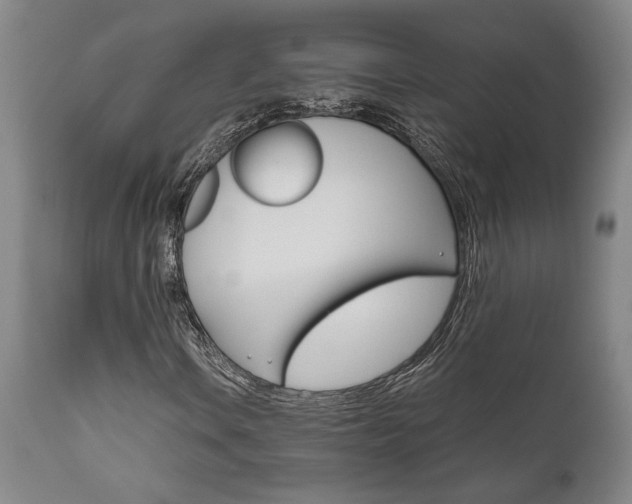 X0000111011106200906191201