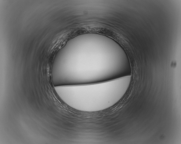 X0000111011108200906191201