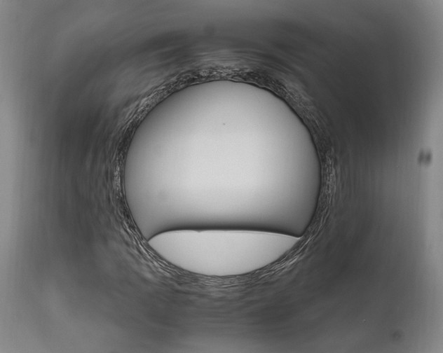 X0000111011109200906191201