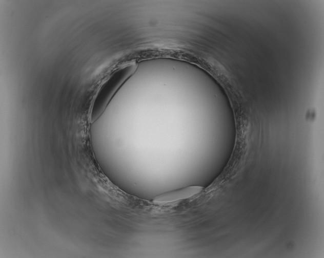 X0000111011110200906191201