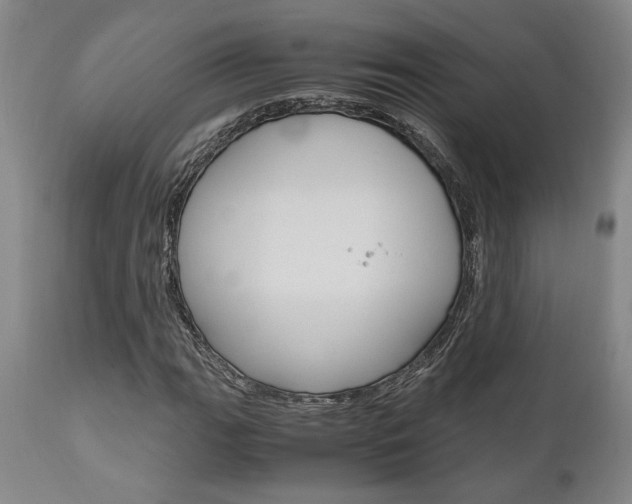 X0000111011111200906191201