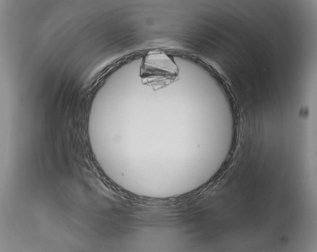 X0000111011112200906191201