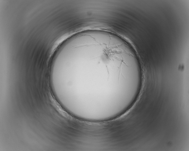 X0000111011114200906191201