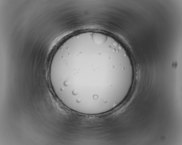 X0000111011117200906191201