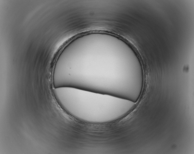 X0000111011119200906191201