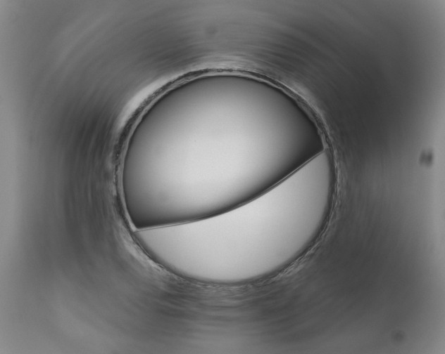 X0000111011120200906191201