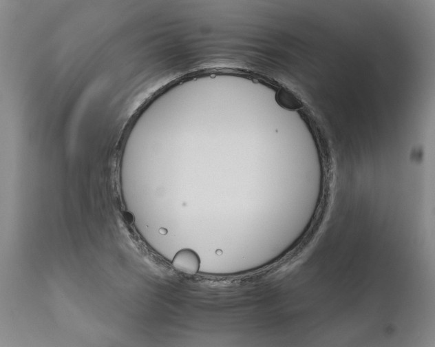 X0000111011121200906191201