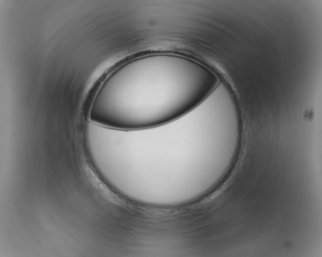 X0000111011122200906191201
