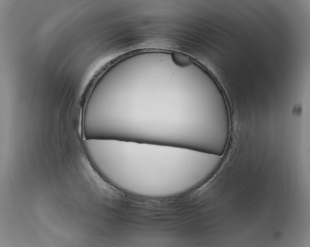 X0000111011123200906191201