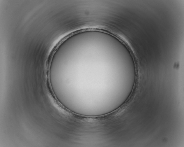 X0000111011124200906191201