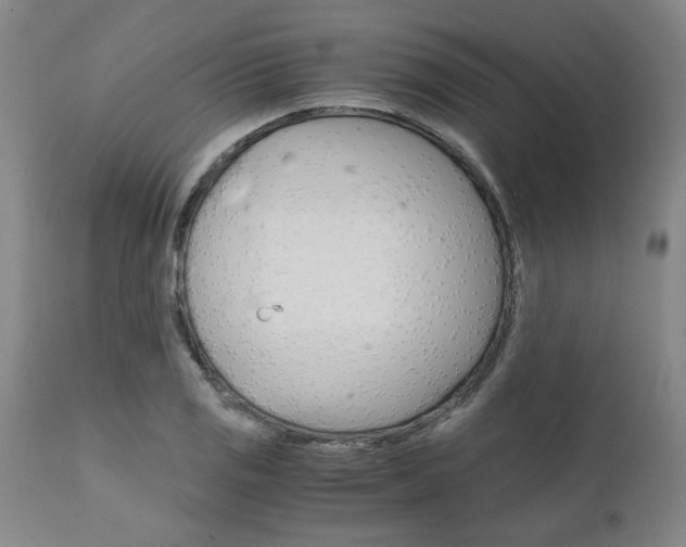 X0000111011125200906191201