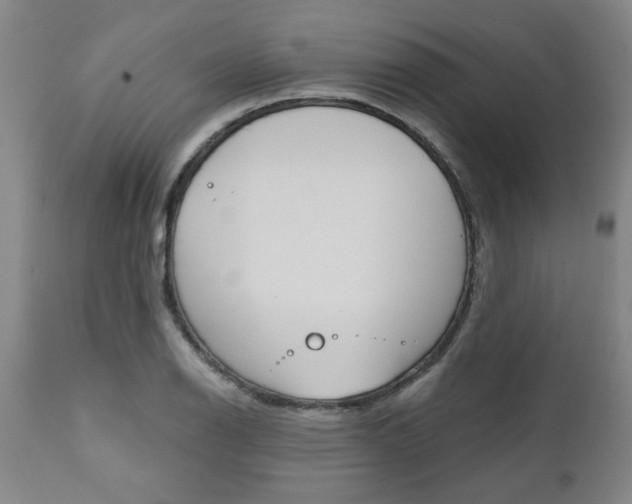 X0000111011126200906191201