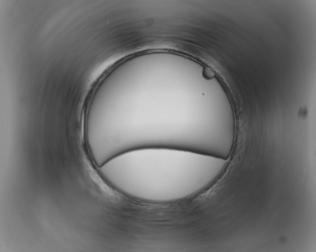 X0000111011127200906191201