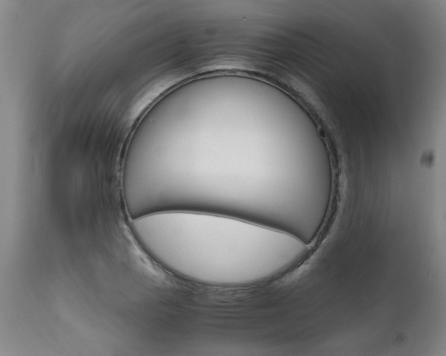X0000111011129200906191201