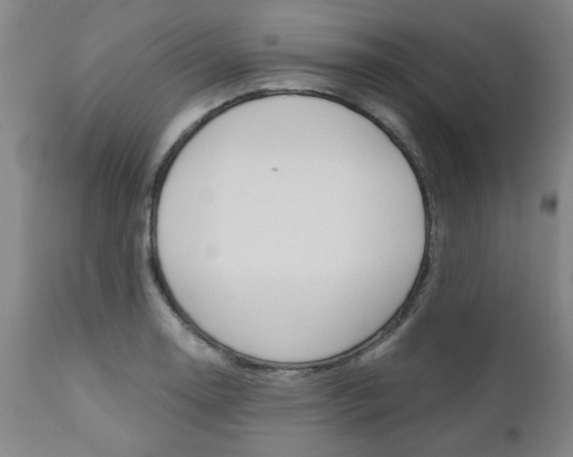 X0000111011130200906191201