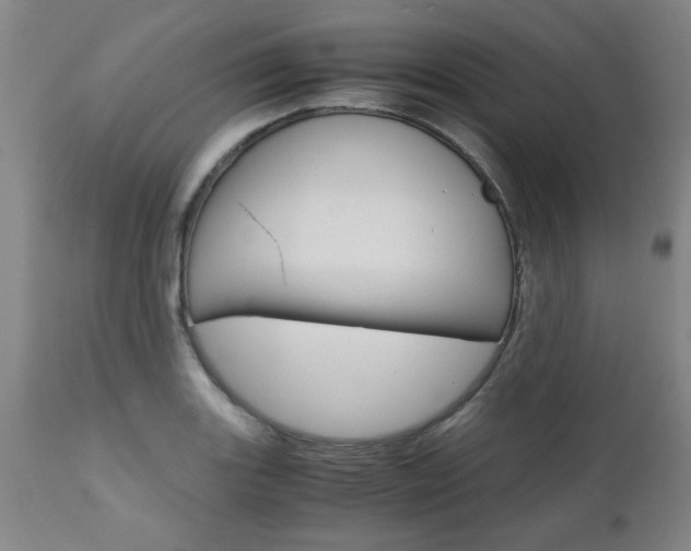X0000111011131200906191201