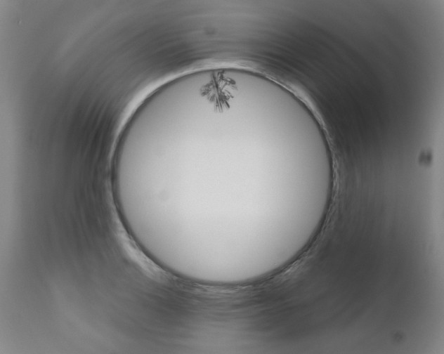 X0000111011132200906191201