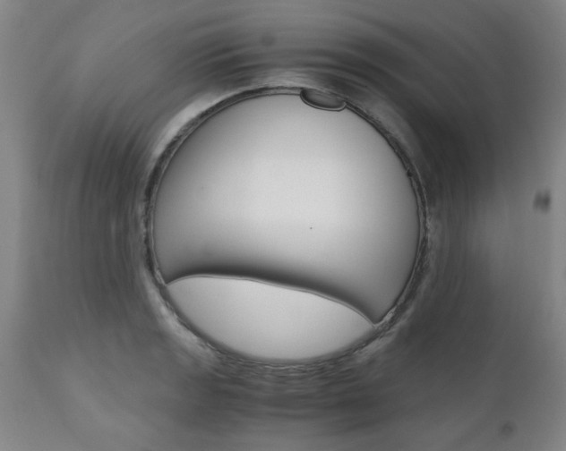 X0000111011133200906191201