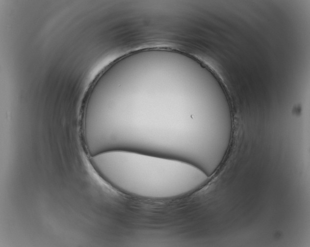 X0000111011135200906191201