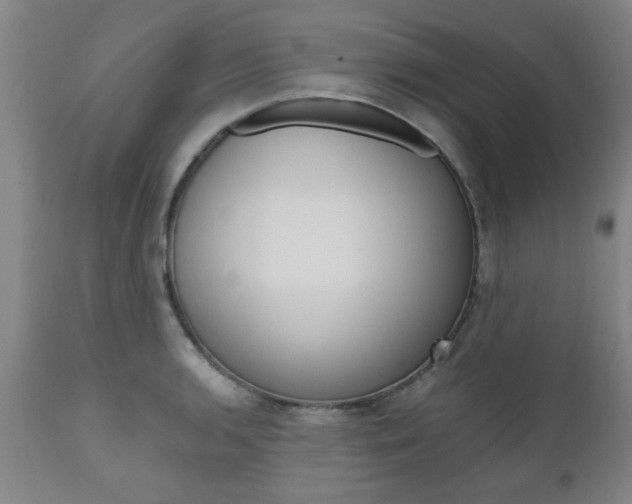 X0000111011136200906191201
