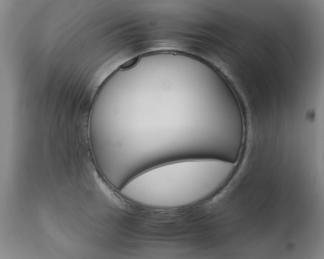 X0000111011137200906191202