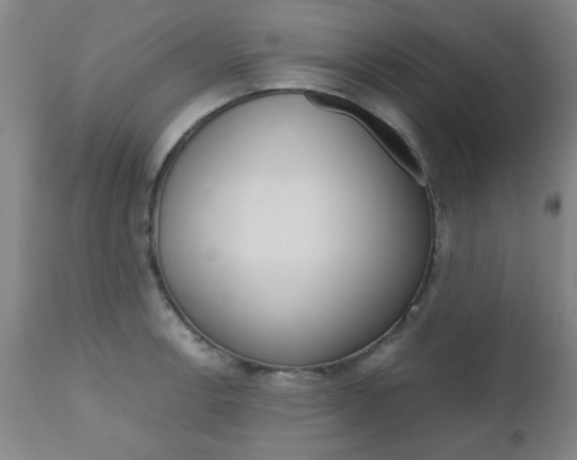 X0000111011138200906191202
