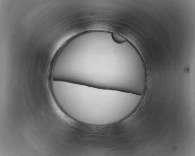 X0000111011139200906191202