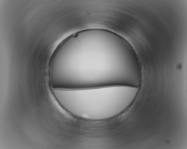X0000111011142200906191202