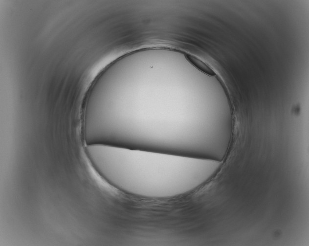 X0000111011143200906191202
