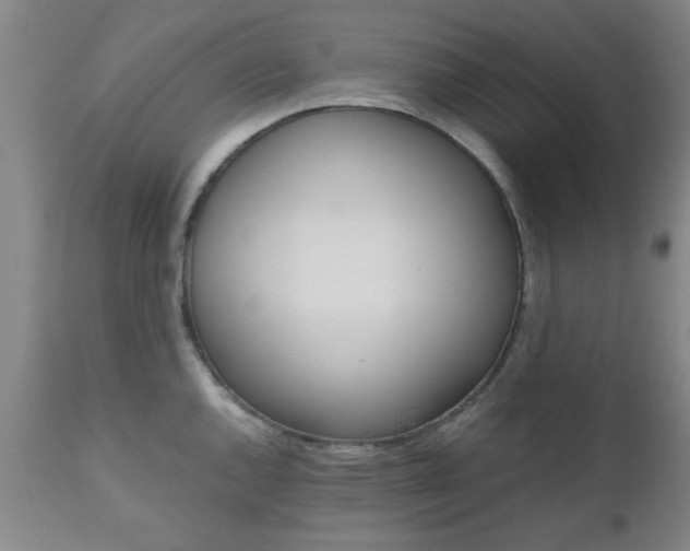 X0000111011144200906191202