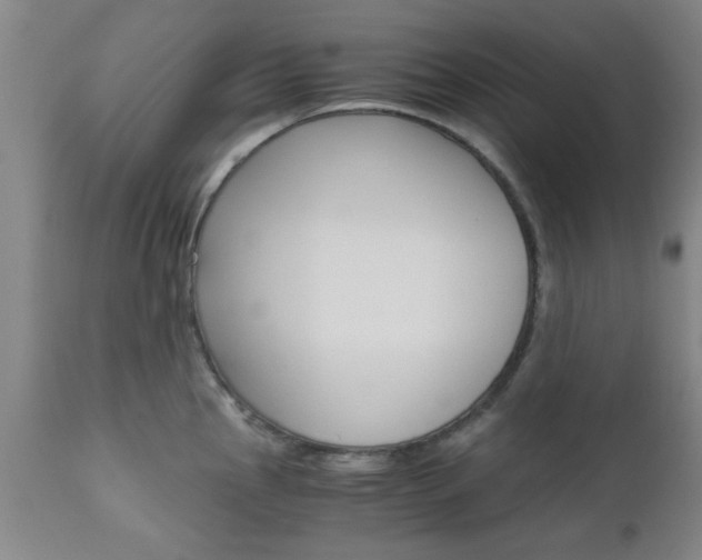 X0000111011145200906191202