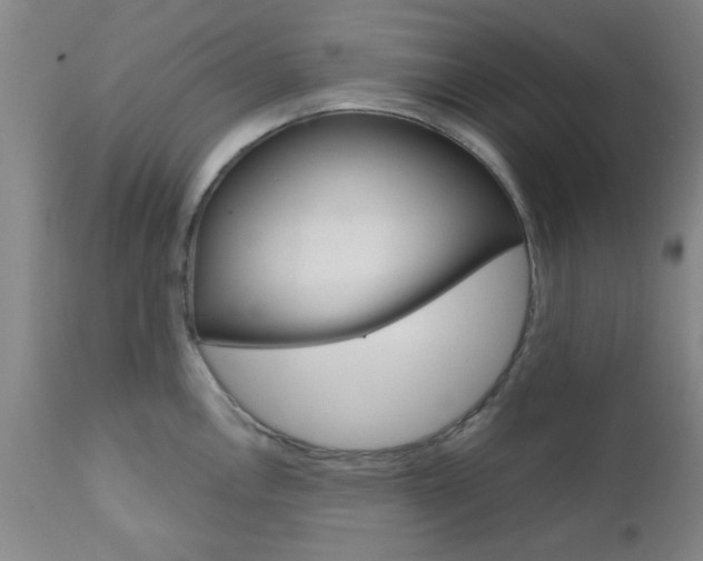 X0000111011146200906191202