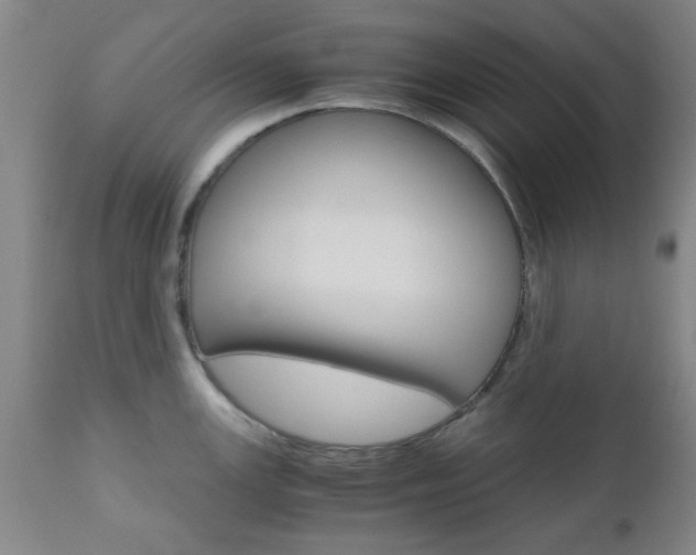 X0000111011147200906191202