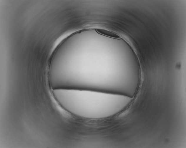 X0000111011149200906191202