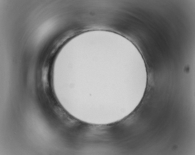X0000111011150200906191202
