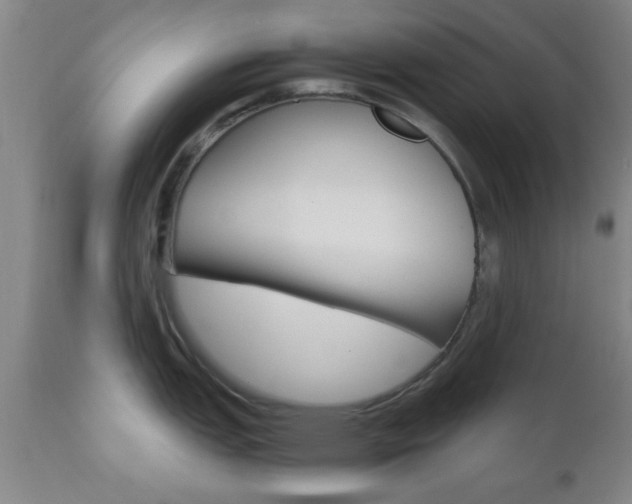 X0000111011151200906191202