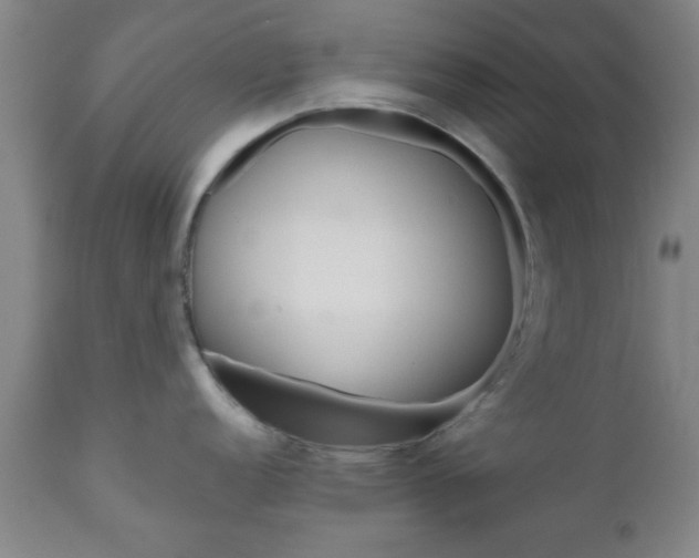 X0000111011152200906191202