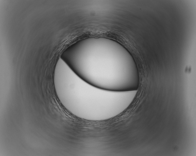 X0000111011153200906191201