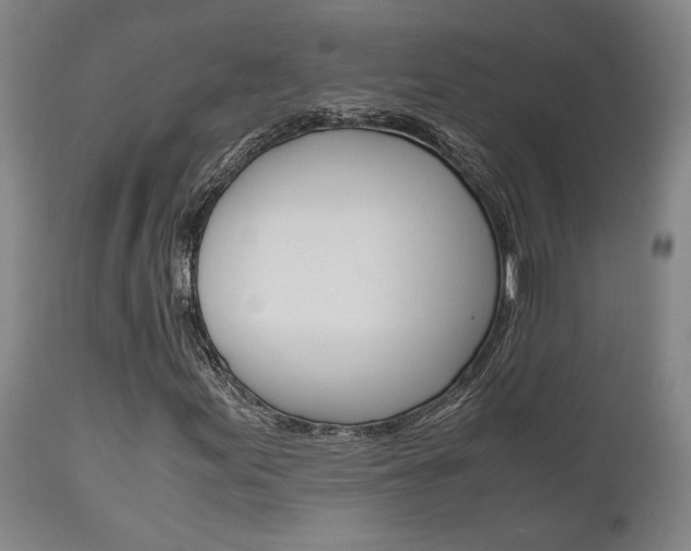X0000111011155200906191201